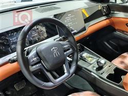 بی وای دی ‎سۆنگ پرۆ DM-i